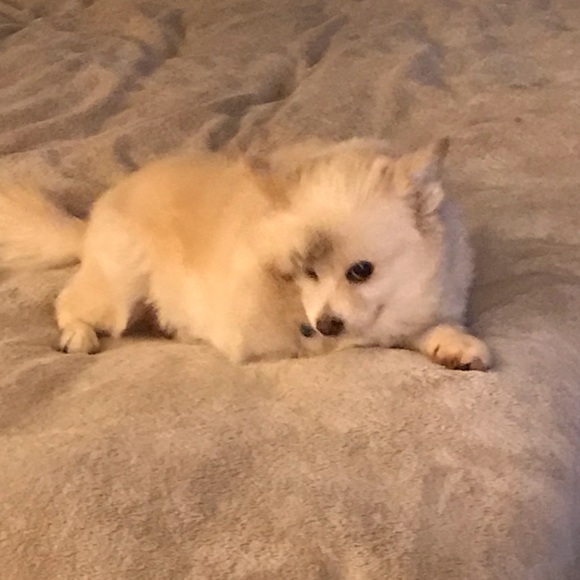 Meet your Posher, Chris - Picture 1 of 1